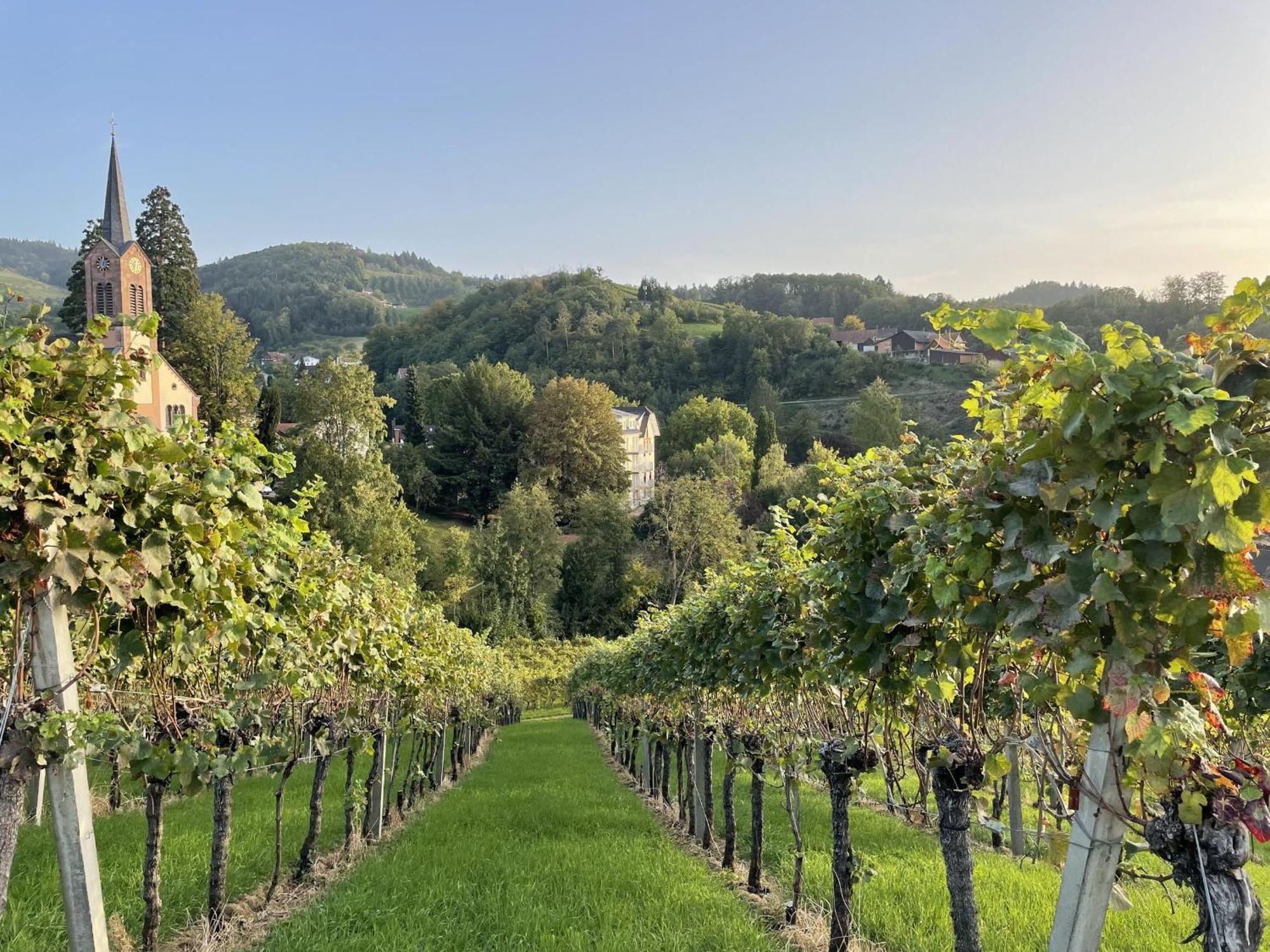 Ferienwohnung Wanderschoen Sasbachwalden Exterior foto